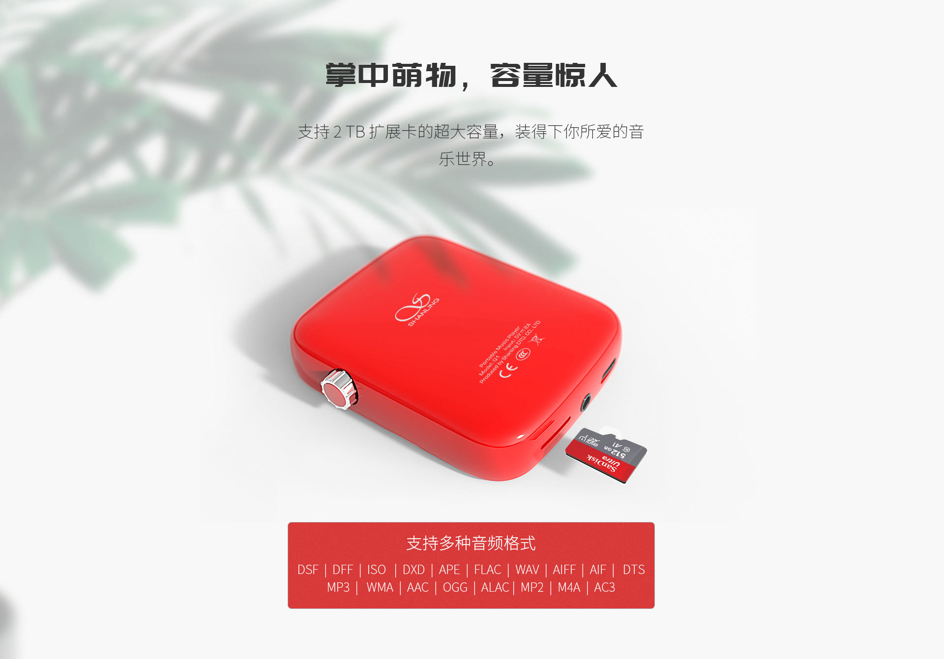 Q1便携HI-FI音乐播放器