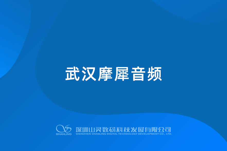 武汉摩犀音频